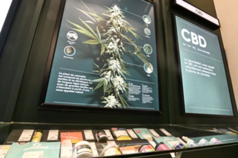 National cannabis organization suspends operations, cites illegal market