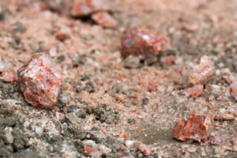 N.B. Potash Project Completes Impact Report, Prepares for Summer Drilling