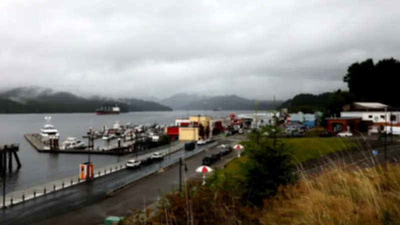 Near-zero visibility fog warning for northern B.C. coast issued