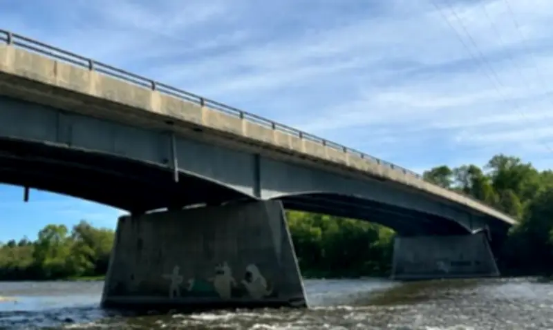 Nesting Birds Halt Footbridge Road Bridge Work in North Dumfries