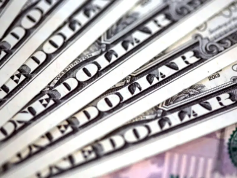 No Sign of US Dollar Losing Dominance: Corpay Strategist