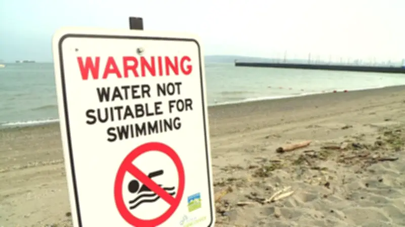 No Swimming at Several Vancouver Beaches Due to E. coli Contamination