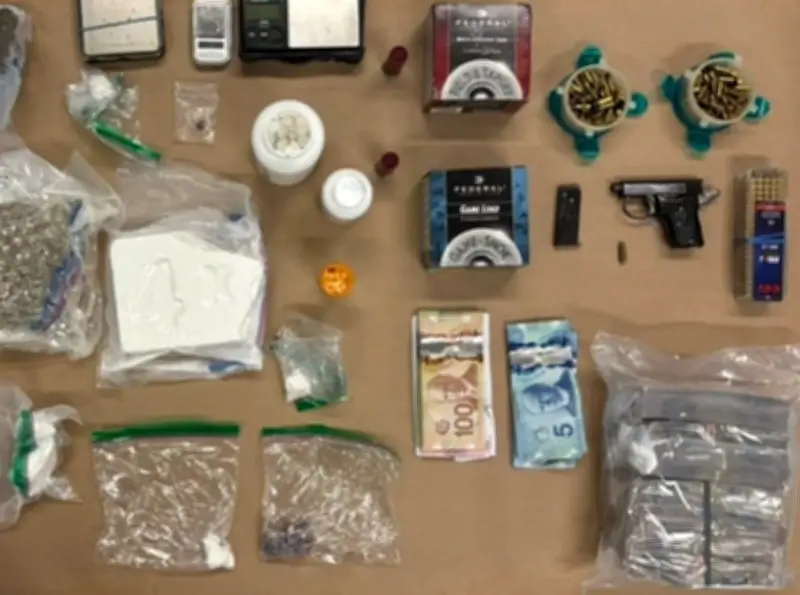 North York Man Faces Gun and Drug Charges After Police Seize Cash and Weapons
