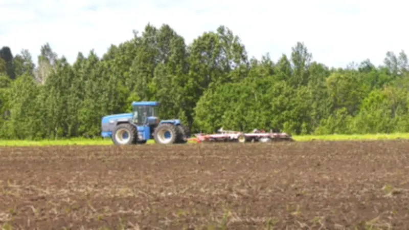 Northern Ontario Farmers Hit by Late Spring and Global Conflicts