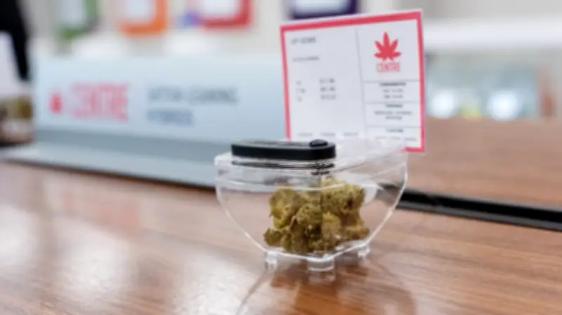Nova Scotia Retailers Facing $50K Fines for Illegal Cannabis Sales