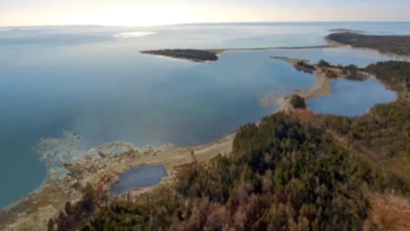 Nova Scotia Whale Sanctuary to Break Ground Despite Unsigned Crown Lease