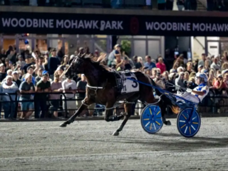 Odds On Mr Mamba Wins $1-Million North America Cup at Mohawk