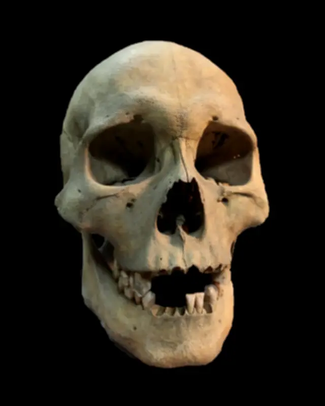 Oldest Known Plague Outbreak 5,500 Years Ago in Siberia