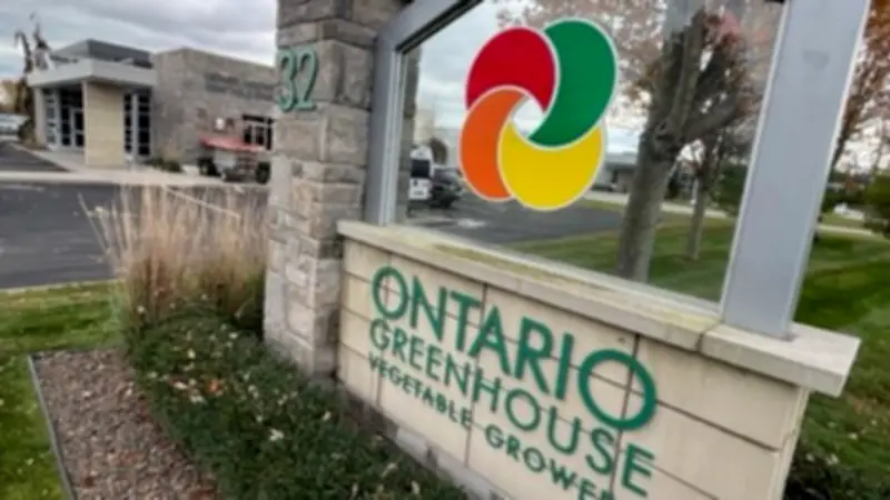 Ontario Greenhouse Growers Win Chatham-Kent Sustainability Award