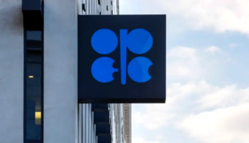OPEC Chief: Oil Demand Robust, No Changes to Estimates