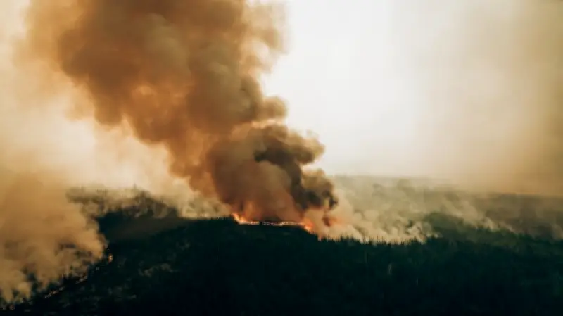 Open Fires Now Banned in 7 Parts of Quebec Due to Wildfire Risk