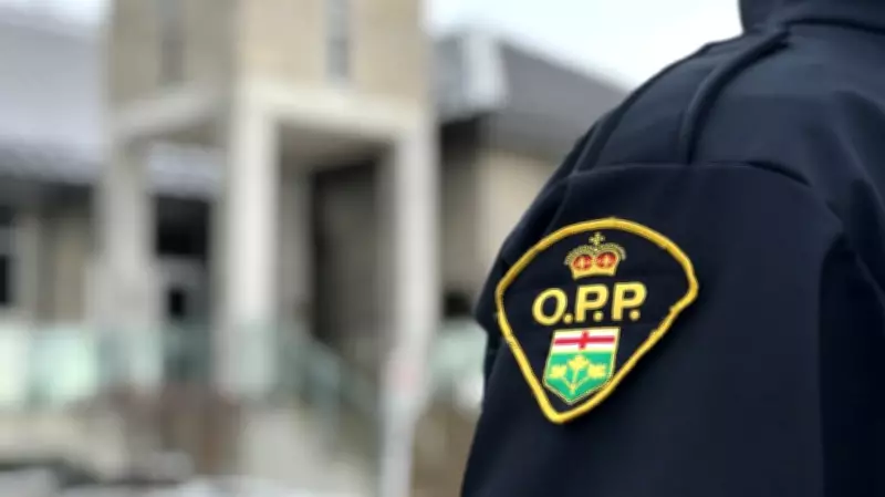 OPP Officer Assaulted, Man Faces 7 Charges After Domestic Call in Fergus