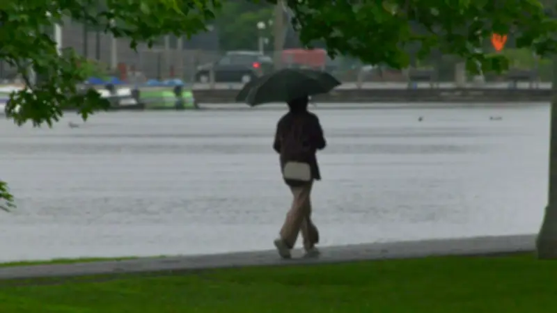 Ottawa Braces for Up to 40 mm of Rain on Thursday