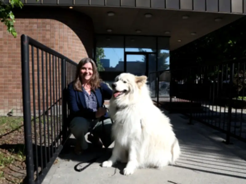 Ottawa Humane Society Launches Fundraising for Subsidized Vet Clinic