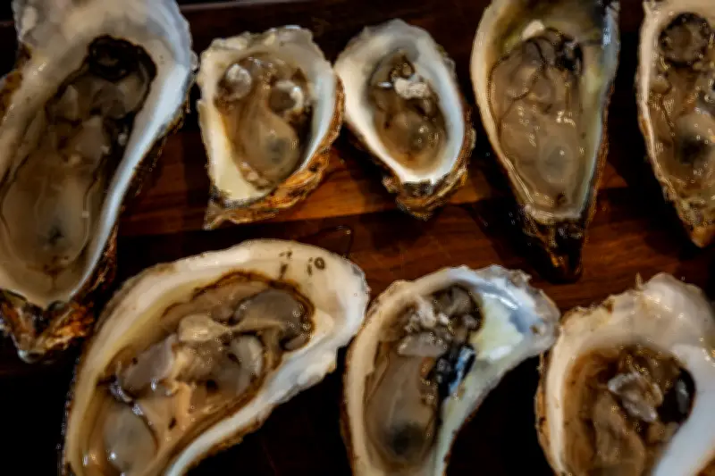 P.E.I. Oysters Recalled Over Possible Salmonella Contamination