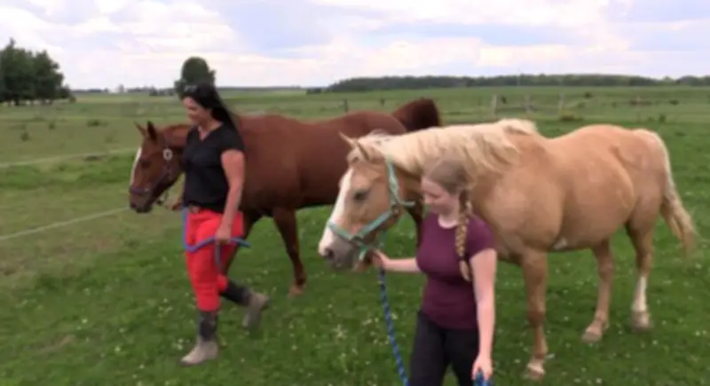 Personal tragedy sparks equine therapy business near Exeter
