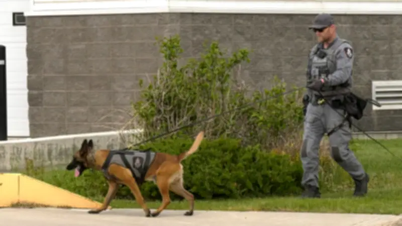 Police Canine Teams Gather in Lethbridge for Handler and Dog Seminar