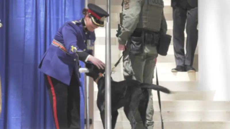 Police Dogs Graduate with Edmonton and Lacombe Officers