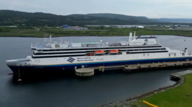 Potential N.L. Ferry Strike Raises Concerns as Union Challenges Essential Service Designation