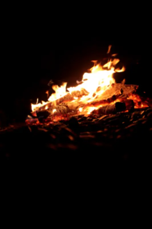 Quebec Lifts Ban on Open Fires in Forests as of June 13, 2026