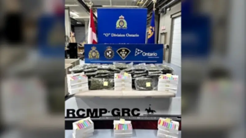 RCMP seize over $175K of illegal cannabis, vapes at Cornwall border crossing