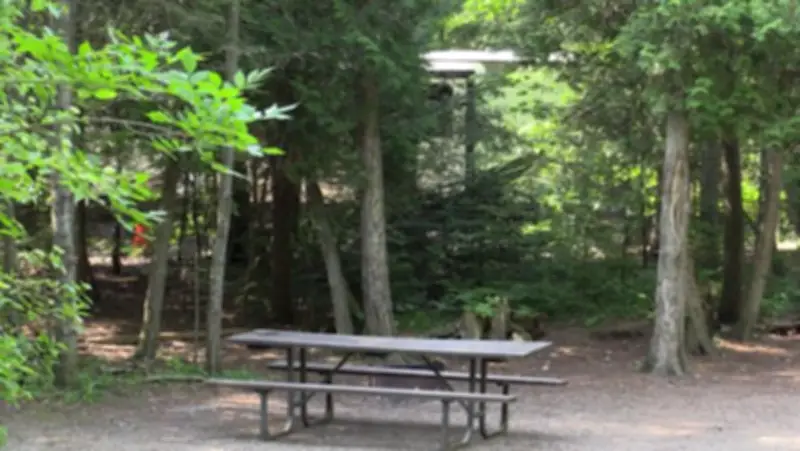Record Season Prompts New Campsites at Ontario Provincial Park