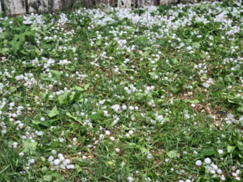 Regina Hit by Hailstones Ranging from Toonie to Golf Ball Size
