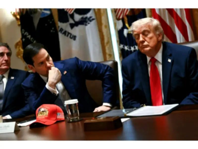 Rubio Dismisses Trump Mental Acuity Concerns as 'Absurd' in Testimony