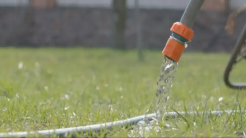 Saint-Hyacinthe Residents Banned from Lawn Watering Amid Water Shortage