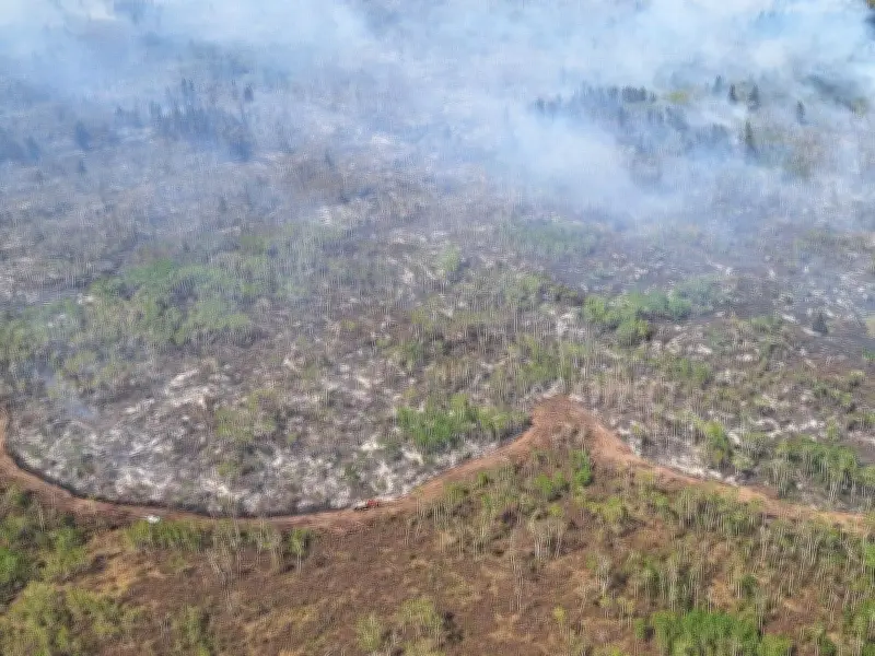 Sask. Premier Moe Says Province in 'Much More Confident Position' on Wildfires After 1,000+ Evacuations