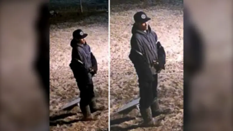 Sask. RCMP Search for Suspect in Starlink Antenna Theft