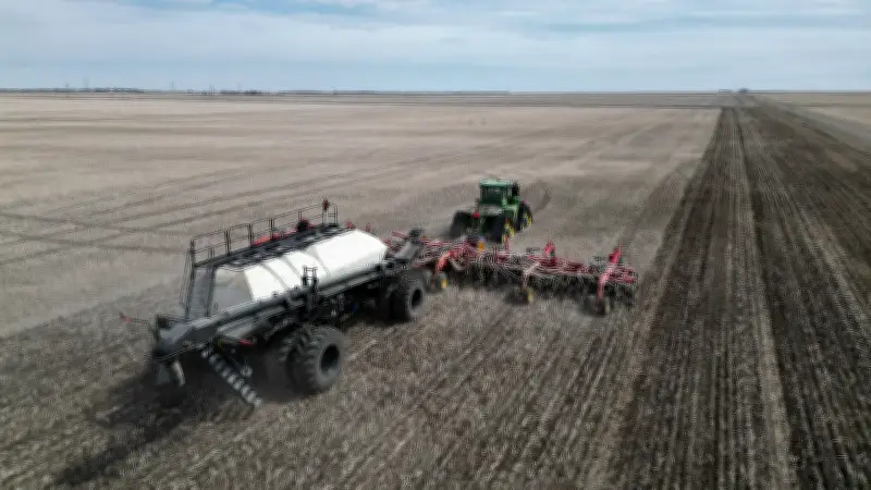 Saskatchewan Seeding Nearly Complete: Report