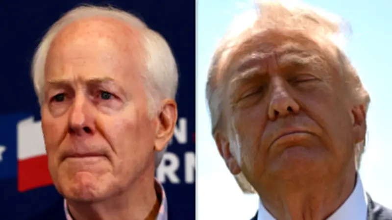 Sen. John Cornyn Warns Trump of 'Disaster' Midterms, Says GOP Has 'Cards to Play'