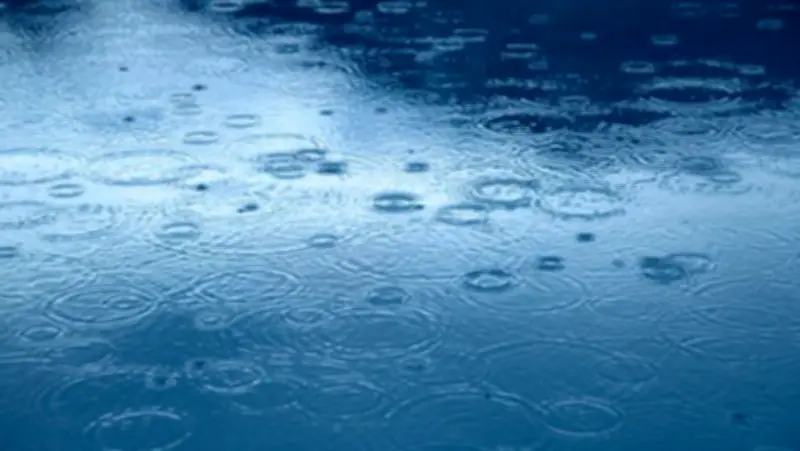Severe Thunderstorm Watch Issued in New Brunswick