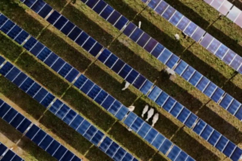 Solar Power Hits New U.S. Milestones as Trump Boosts Coal