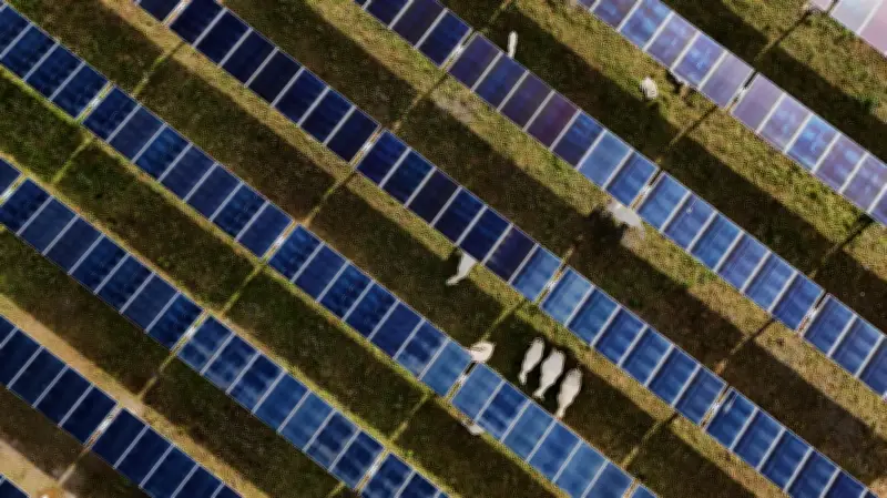 Solar power overtakes coal in US for first time in May, despite Trump's coal push