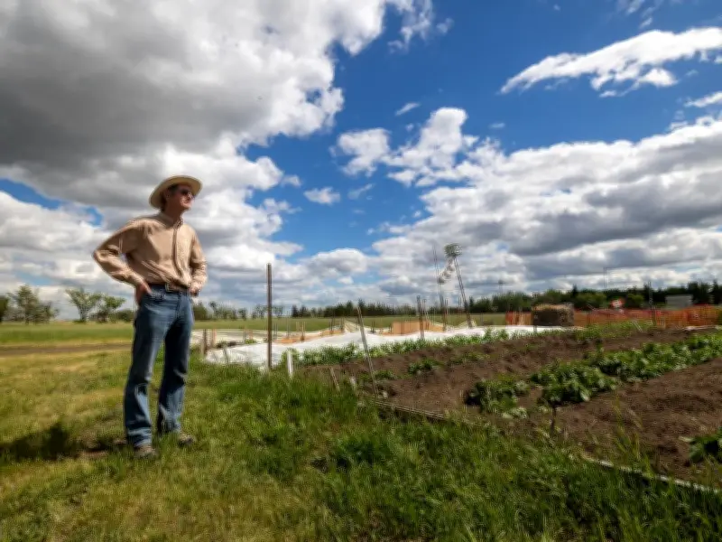 South Regina community gardens must relocate as U of R plans development