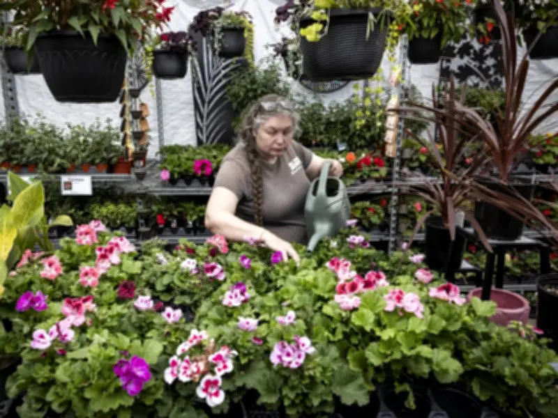 Stage 3 Water Restrictions Begin June 8: No Pools, No Lawn Watering