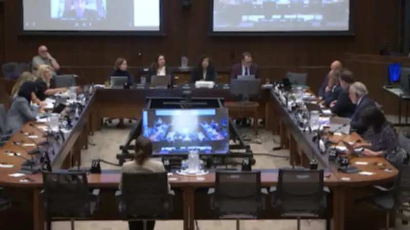 Sudbury advocates decry 'political circus' at Ottawa committee meeting