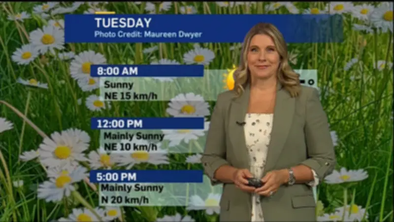Sunny Start to June in London: Heat and Humidity Build This Week