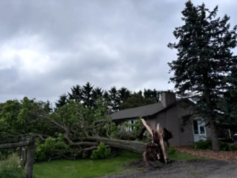 'Supercell' Tornado Confirmed in Glencoe: Damage Reported