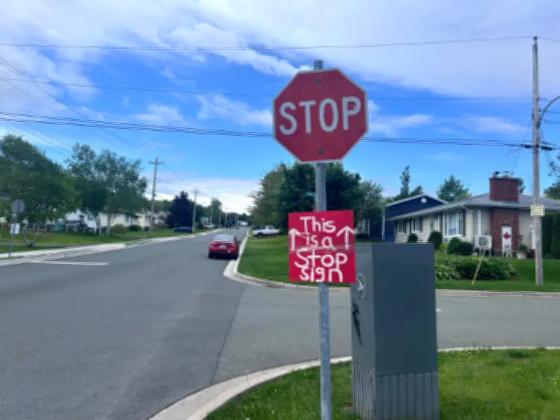Sydney residents install stop sign to curb speeding in neighbourhood