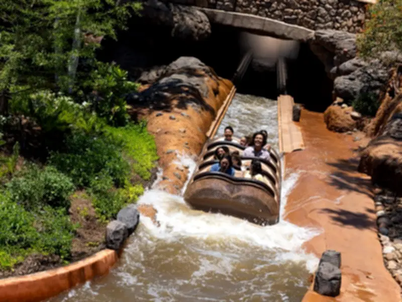 Teen Climbs Out of Disneyland Ride, Plunges 15 Metres Down Waterfall