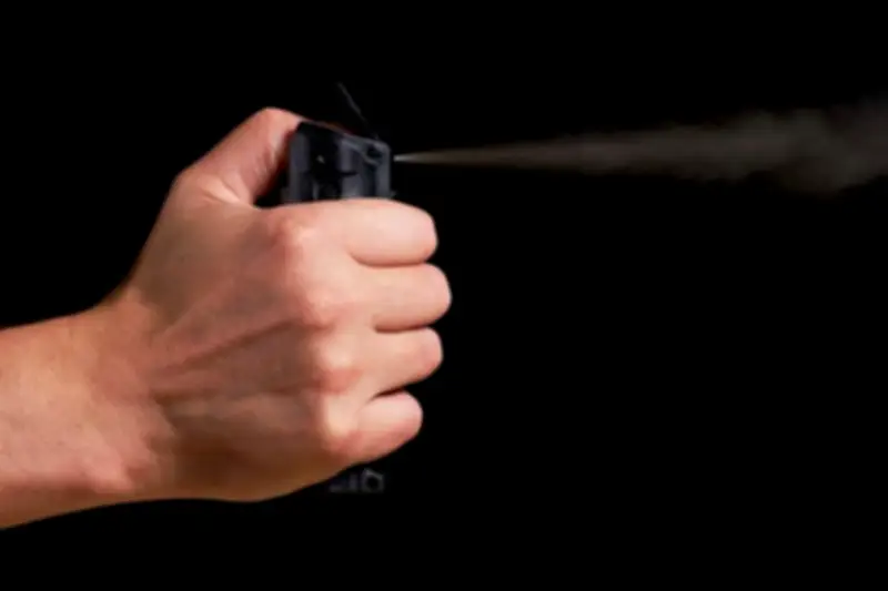 Teen pepper sprayed employee who refused them entry, Sault police say