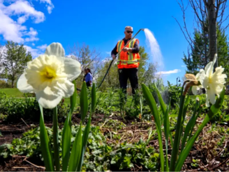 Thankful for Taxes: How They Support Our City in Countless Ways