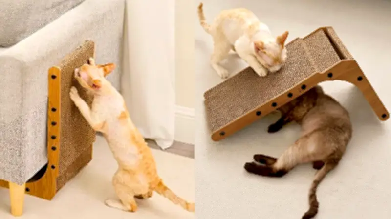 This Versatile Cat Scratcher Is Saving Furniture and Earning Rave Reviews