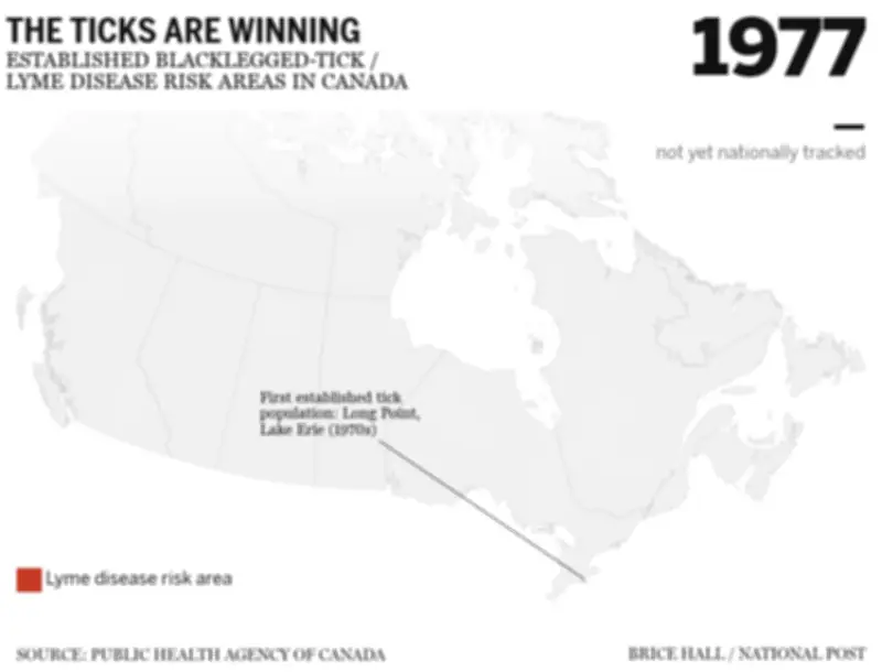 Ticks Rapidly Spreading Across Canada: Experts Weigh In on Risks
