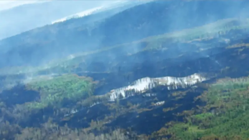 Timmins 9 Forest Fire Growth Slows, Now at 3,399 Hectares