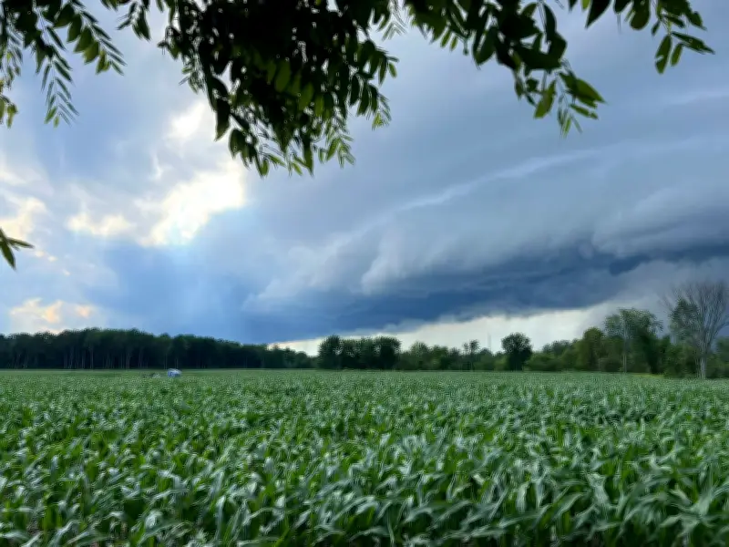 Tornado Warning Lifted, Severe Thunderstorm Watch for Southern Ontario