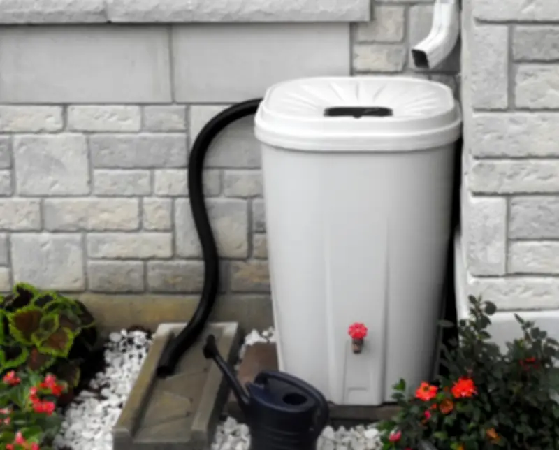 Toronto Council Approves $240,000 More for Rain Barrel Subsidy Program